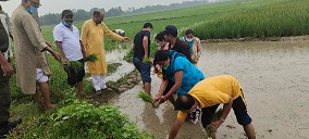 बीरगंजमा मनाईयो धान दिवस
